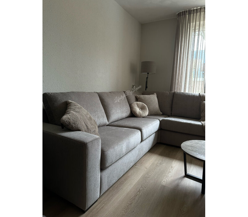 BOCX bank Lynn 1/2 4 zits Champ grey 65