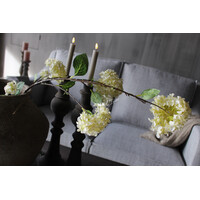 Sylxz viburnum White 120cm