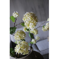 Sylxz viburnum White 120cm