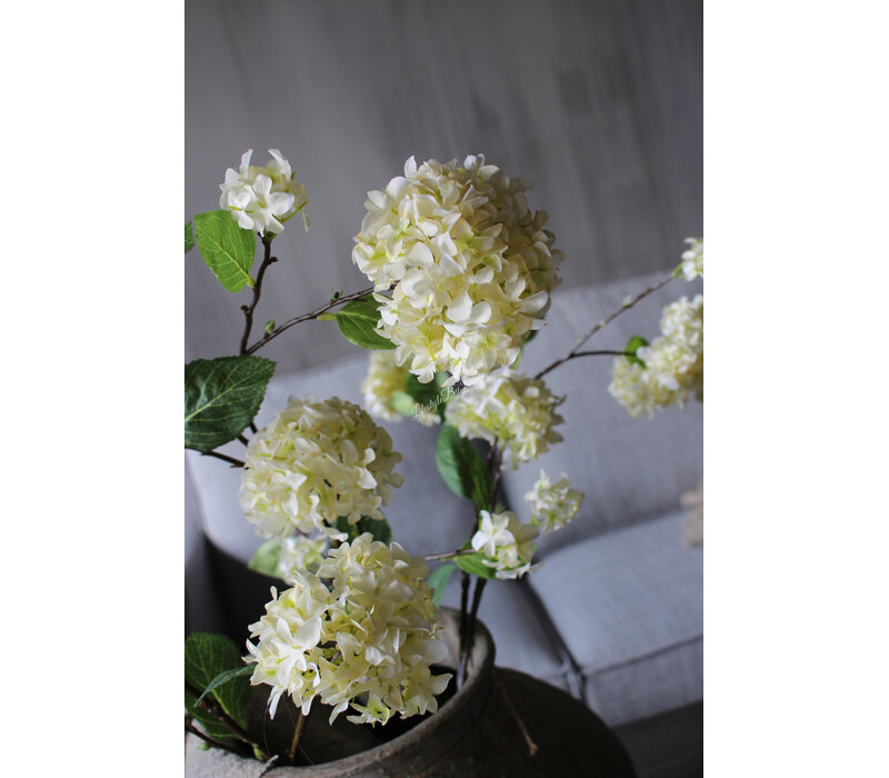 Sylxz viburnum White 120cm