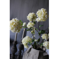 Sylxz viburnum White 120cm