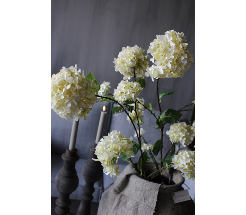 Sylxz viburnum White 120cm