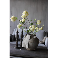 Sylxz viburnum White 120cm