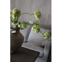 Sylxz Viburnum green 120 cm