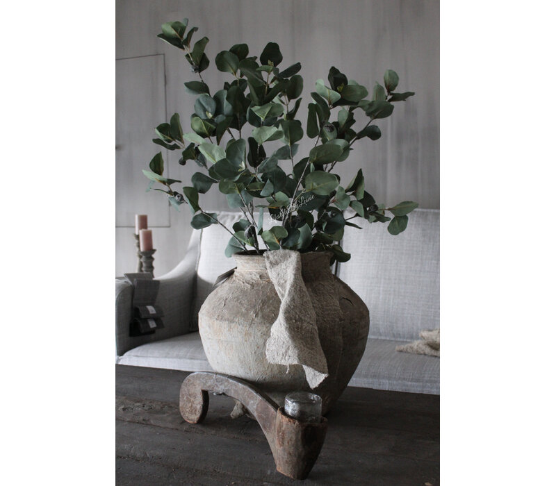 Sylxz eucalyptus met vrucht 105cm