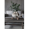 Brynxz Sylxz Eucalyptus met vrucht 105 cm