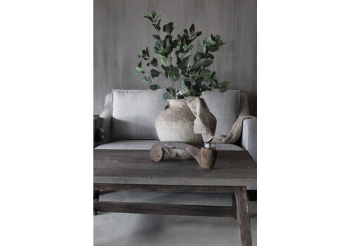 Brynxz Sylxz Eucalyptus met vrucht 105 cm