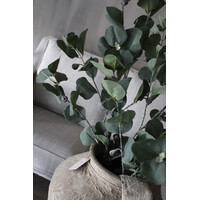 Sylxz eucalyptus met vrucht 105cm