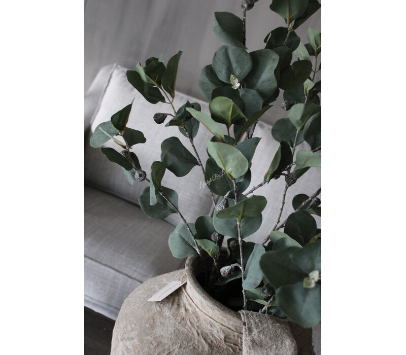 Sylxz eucalyptus met vrucht 105cm
