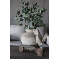 Sylxz eucalyptus met vrucht 105cm