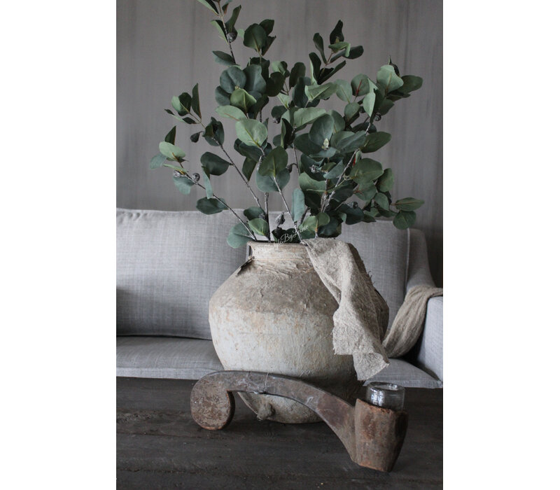 Sylxz eucalyptus met vrucht 105cm