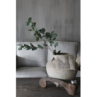 Sylxz eucalyptus met vrucht 105cm