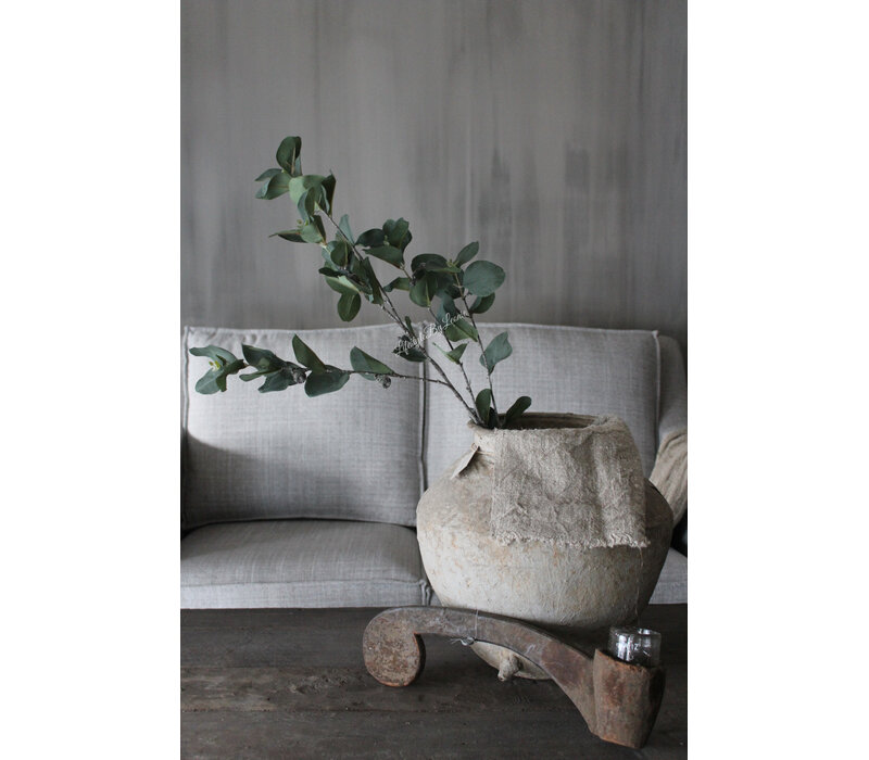 Sylxz eucalyptus met vrucht 105cm