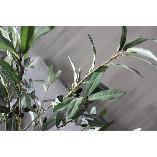 Sylxz olijftak met olijven 120cm 