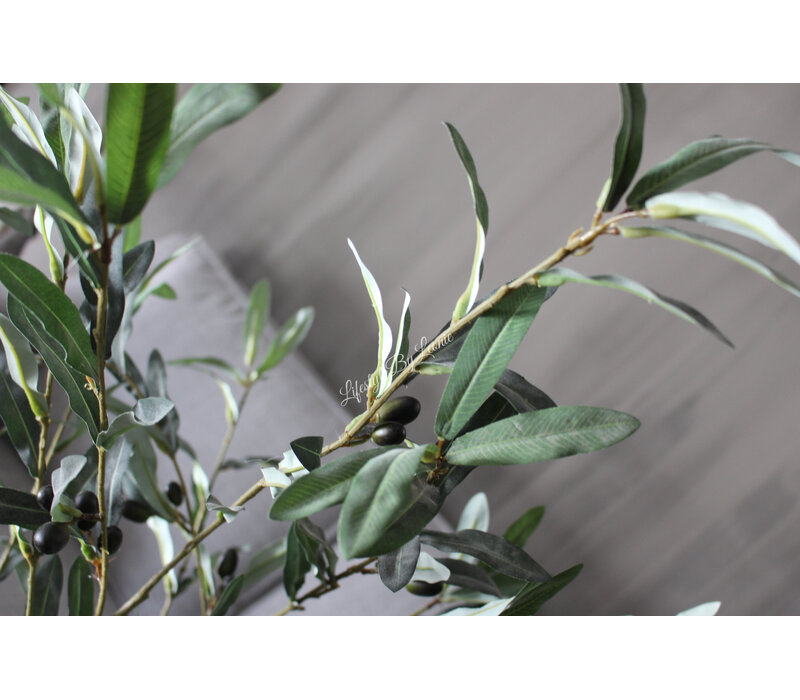 Sylxz olijftak met olijven 120cm