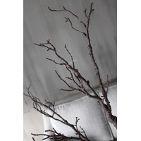 Sylxz sobere bruine tak 116 cm