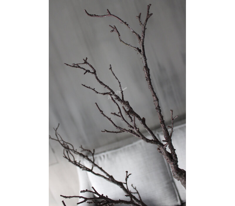 Sylxz sobere bruine tak 116 cm