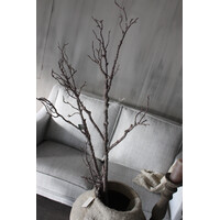 Sylxz sobere bruine tak 116 cm