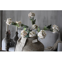 Sylxz Viburnum light pink 90 cm