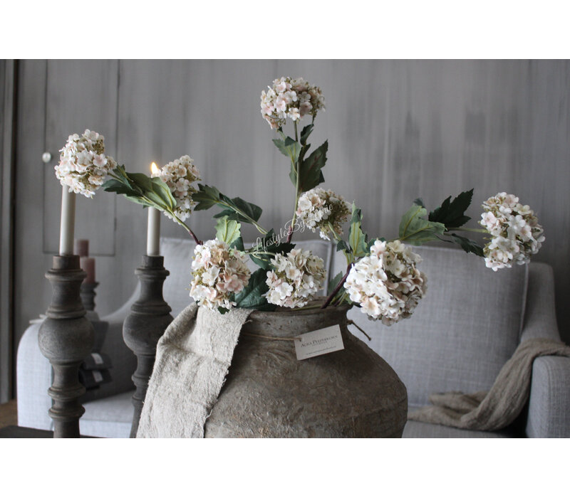 Sylxz Viburnum light pink 90 cm