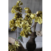 Sylxz prunus sakura tak Green 100cm