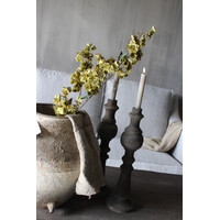 Sylxz prunus sakura tak Green 100cm