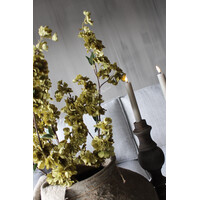 Sylxz prunus sakura tak Green 100cm