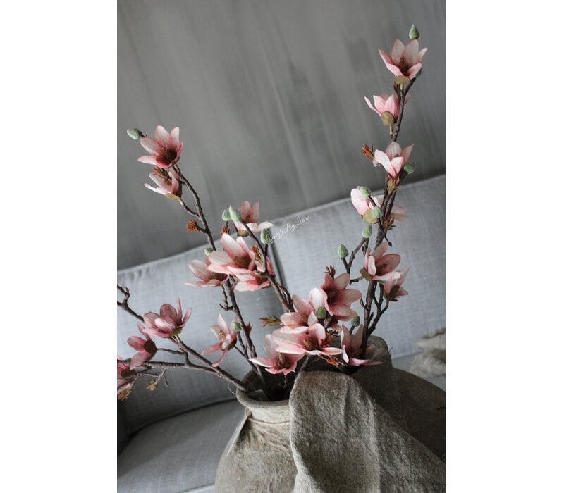 Sylxz magnolia tak light pink 92cm