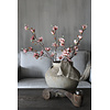 Brynxz Sylxz Magnolia tak light pink 92 cm