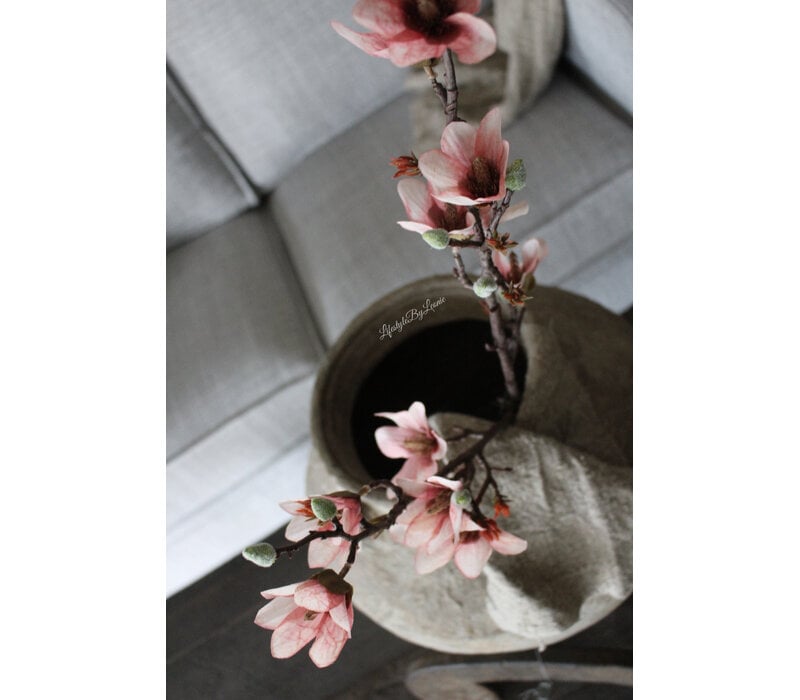 Sylxz magnolia tak light pink 92cm