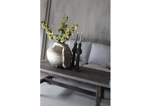 Brynxz Sylxz delphinium tak Green 82cm