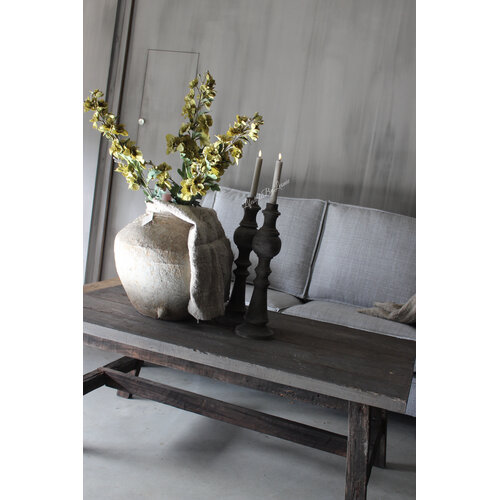 Sylxz Delphinium tak green 82 cm 