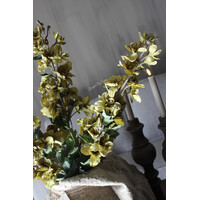 Sylxz delphinium tak Green 82cm