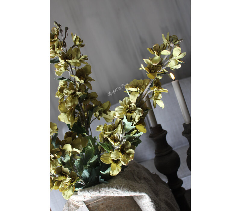 Sylxz delphinium tak Green 82cm