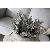 Sylxz Bush bronze/grey 35 cm