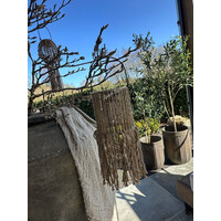 Solar lamp Ibiza naturel 15 cm