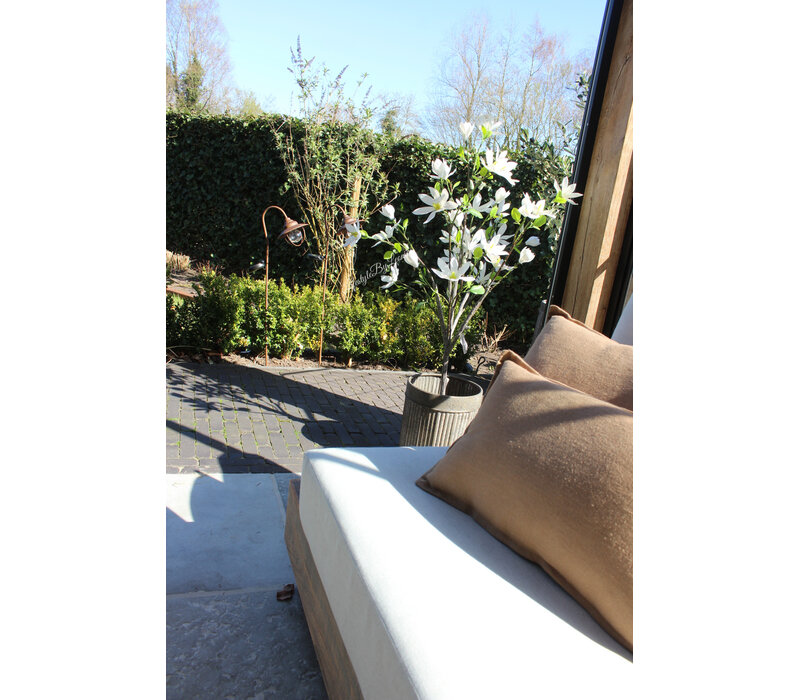 Roestige planten bak metaal Bart