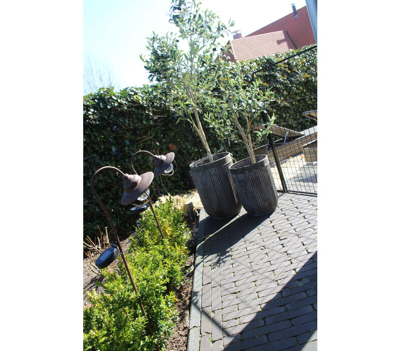 Roestige planten bak metaal Bart