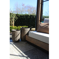 Roestige planten bak metaal Bart