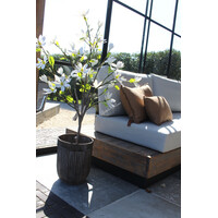 Roestige planten bak metaal Bart