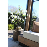 Roestige planten bak metaal Bart