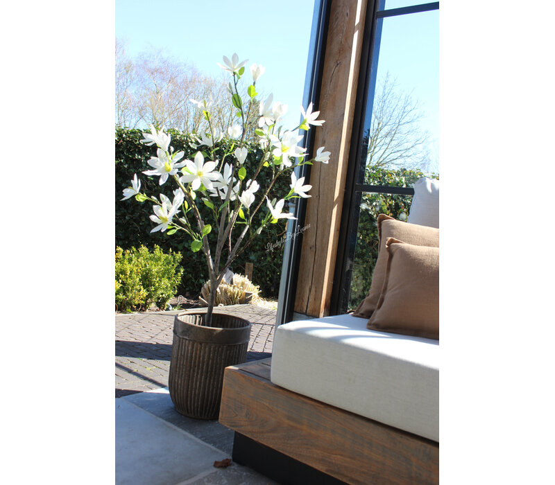 Roestige planten bak metaal Bart