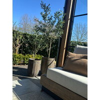 Roestige planten bak metaal Bart