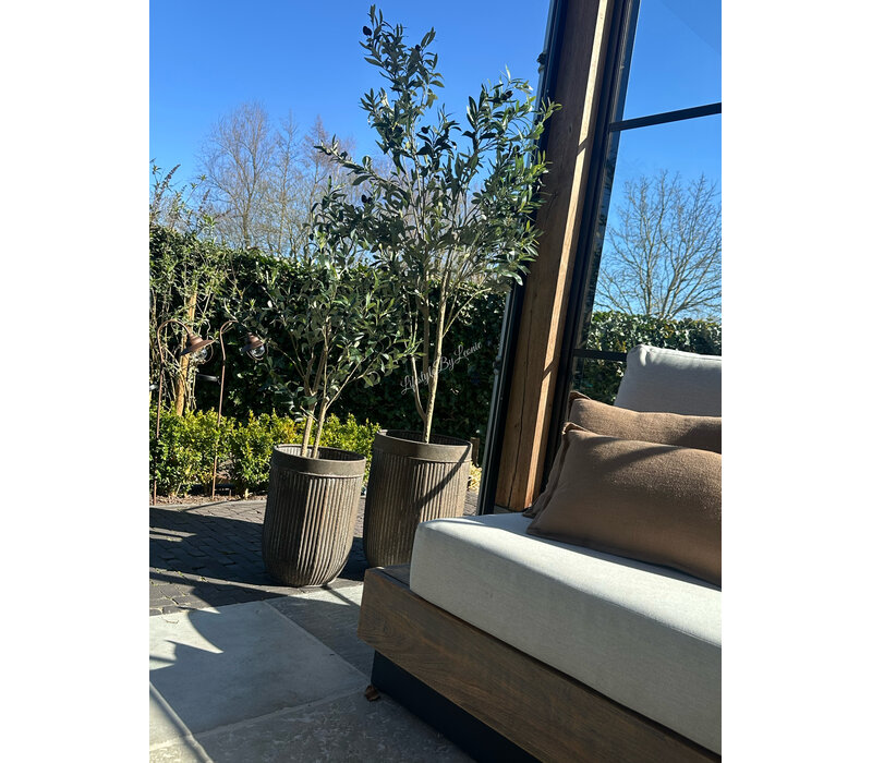 Roestige planten bak metaal Bart