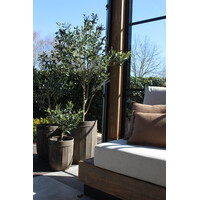 Roestige planten bak metaal Bart