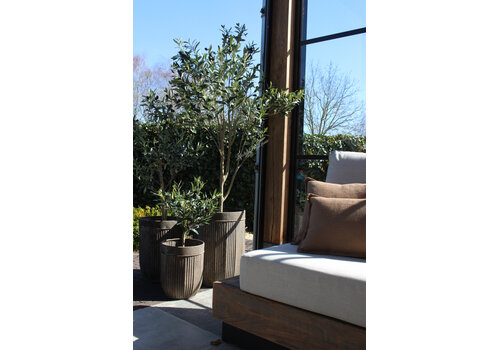 Roestige plantenbak metaal Bart