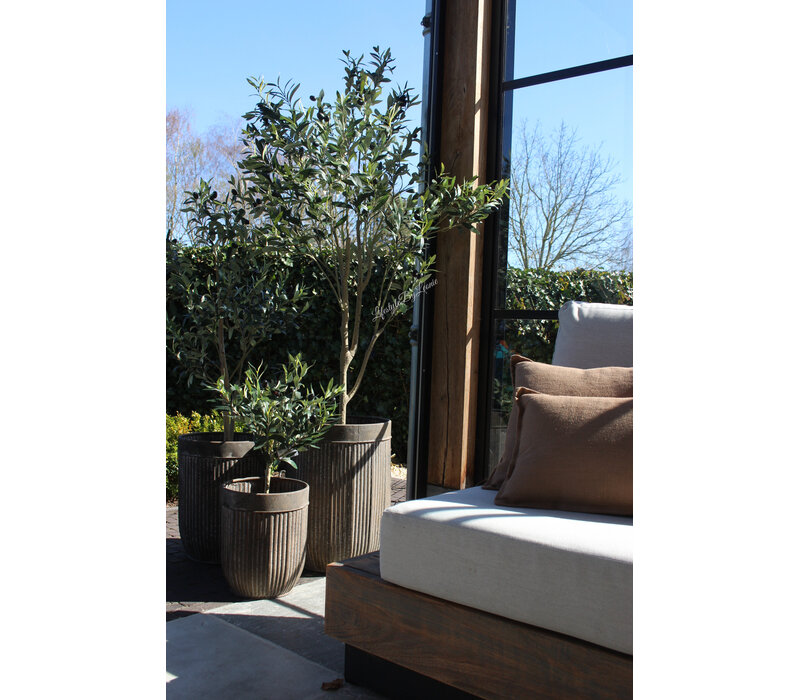 Roestige planten bak metaal Bart