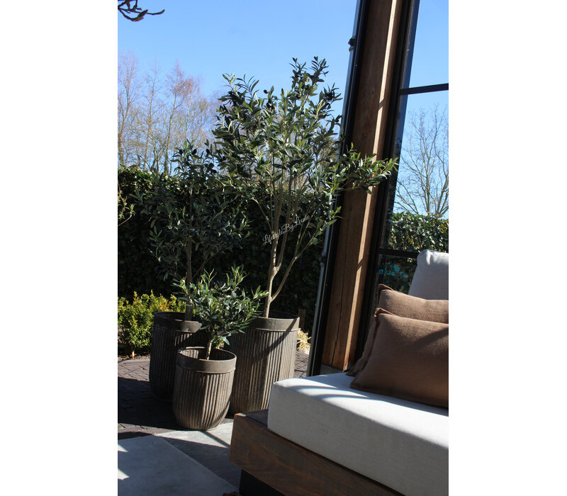 Roestige planten bak metaal Bart