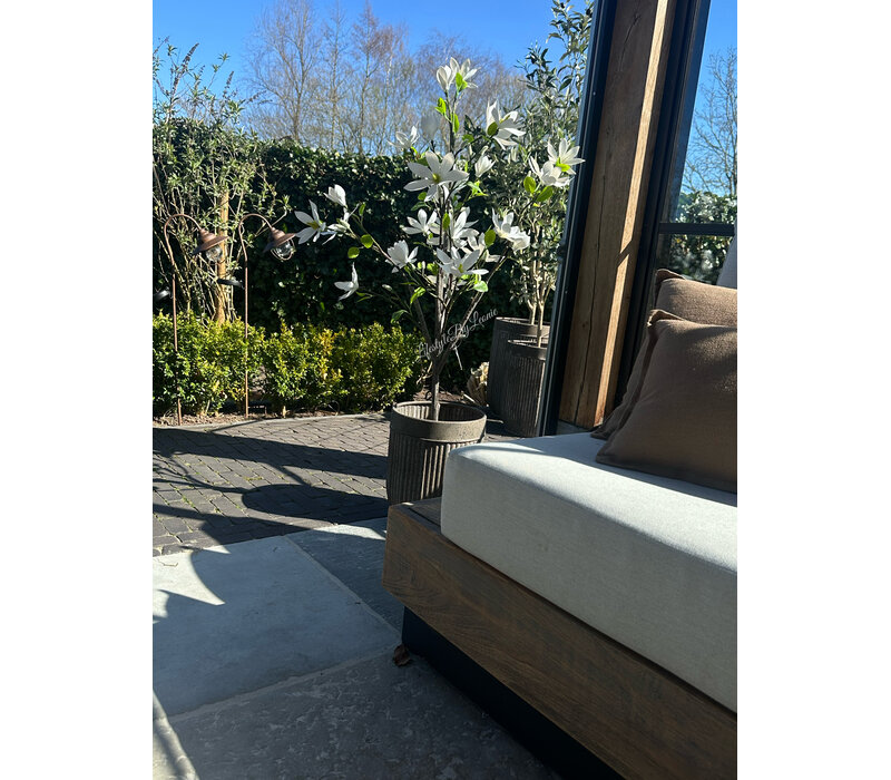 Roestige planten bak metaal Bart