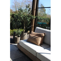 Roestige planten bak metaal Bart